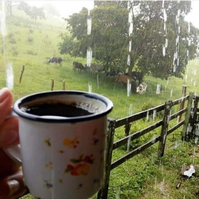 Nubosidad y lluvias este lunes 16 de junio en algunas regiones según Inameh