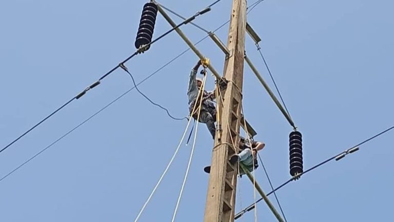 Fortalecen líneas de transmisión en Guárico con mantenimiento especializado