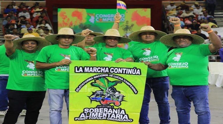 Consejos Campesinos elegirá el 6-Sep sus vocerías para el desarrollo agrícola