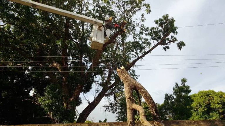 CORPOELEC atiende a más de 13 mil guariqueños con adecuaciones de redes eléctricas