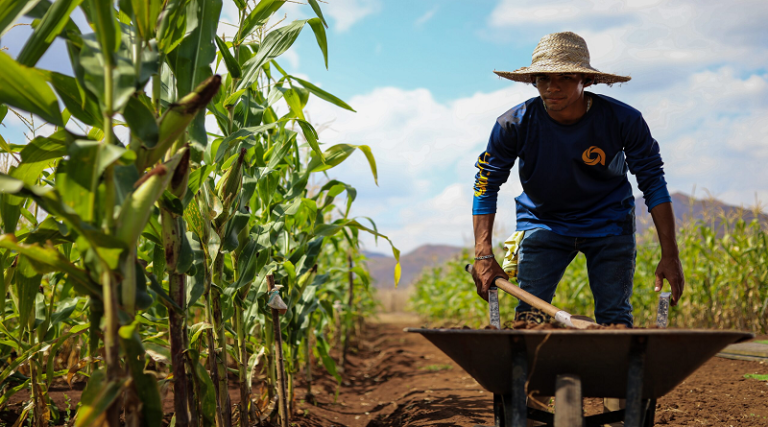 Foro sobre impacto de semillas transgénicas favorecerá a productores de Portuguesa