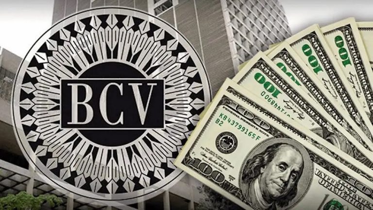 En 223,96 se cotiza el dólar BCV este 3 de noviembre